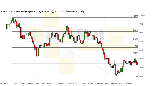 temp1-500x279 temp1-500x279