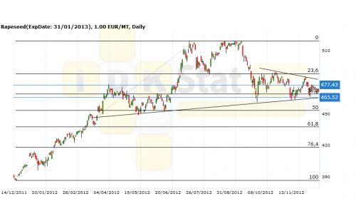 rapeseed171212 rapeseed171212