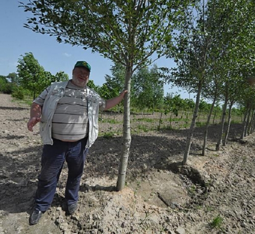 Фермер показывает как сажать дерево