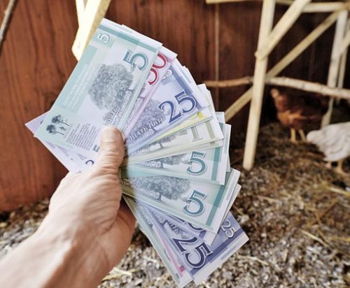 Из-за вот этих долговых расписок против фермера возбудили уголовное дело.