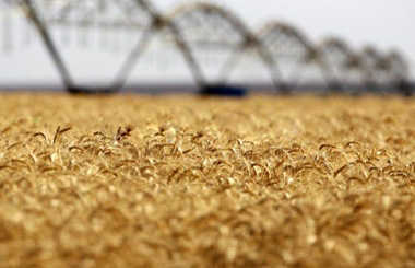 Российский экспорт надавил на цены США