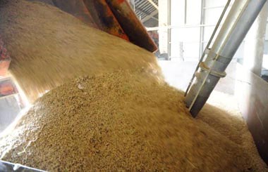 Пшеница растет, несмотря на запасы