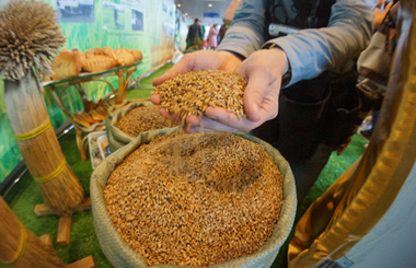 Урожай не окупит затрат