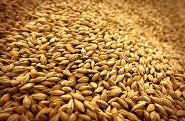 Китай планирует реализовать на мировом рынке зерновые из госрезервов