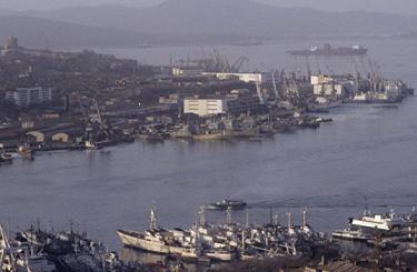 Новые резиденты свободного порта Владивосток будут разводить крабов