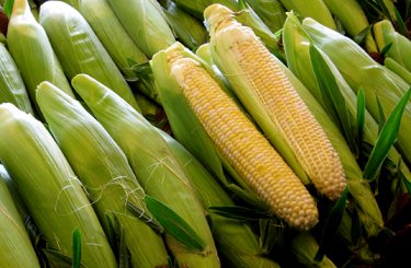 Обзор рынка кукурузы: в этом году принимать решения нелегко – Bryce Knorr, аналитик Farm Futures