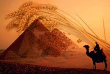 В условиях экономии египтяне едят больше хлеба – импорт пшеницы бьет рекорды