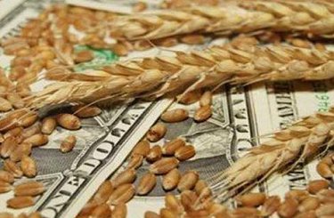 Обзор рынка пшеницы: в ожидании поворотной точки – Bryce Knorr, аналитик Farm Futures