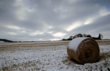 Об агрометеорологических условиях на территории России в 1-й и 2-й декадах февраля 2017 г.