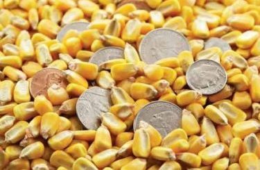 «Бычьи» ставки на кукурузу и сою упали из-за Южной Америки – Браун, аналитик Reuters
