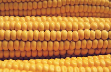 Обзор рынка кукурузы – Bryce Knorr, аналитик Farm Futures