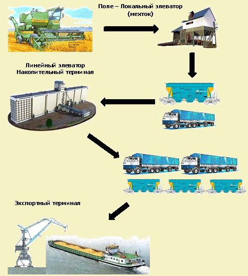 Схема продажи зерна на экспорт