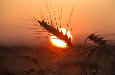 Обзор ситуации в Черноморском регионе. Отчет MARS.