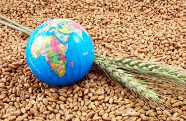 Прогноз ценовых колебаний с 30 октября по 3 ноября 2017