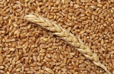 Прогноз ценовых колебаний с 23 по 27 октября 2017