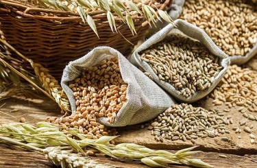 Прогноз ценовых колебаний с 16 по 20 октября 2017