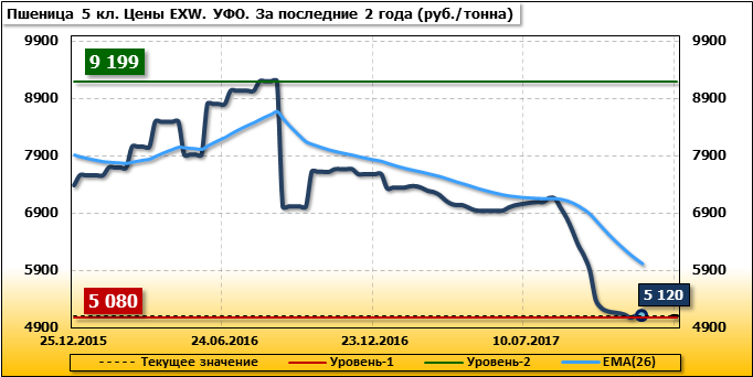 Пшеница Риф Цена