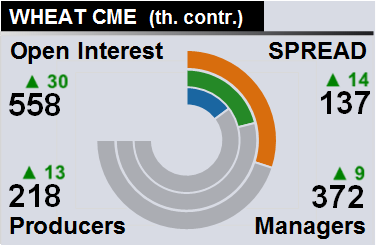 Отчет по открытому интересу. Пшеница, CME Group на 20.01.2018