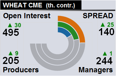 Отчет по открытому интересу. Пшеница, CME Group на 17.03.2018
