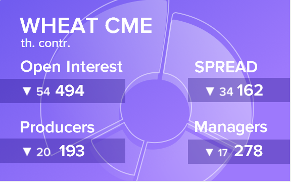 Отчет по открытому интересу. Пшеница, CME Group на 17.11.2018