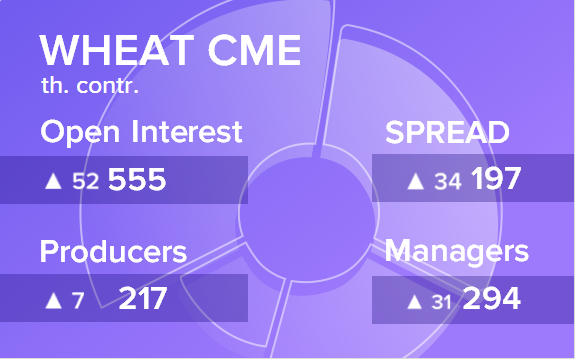 Отчет по открытому интересу. Пшеница, CME Group на 03.11.2018