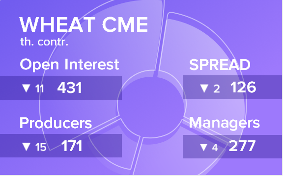Отчет по открытому интересу. Пшеница, CME Group на 15.12.2018