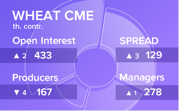 Отчет по открытому интересу. Пшеница, CME Group на 22.12.2018