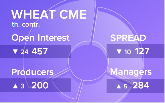 Отчет по открытому интересу. Пшеница, CME Group на 01.12.2018