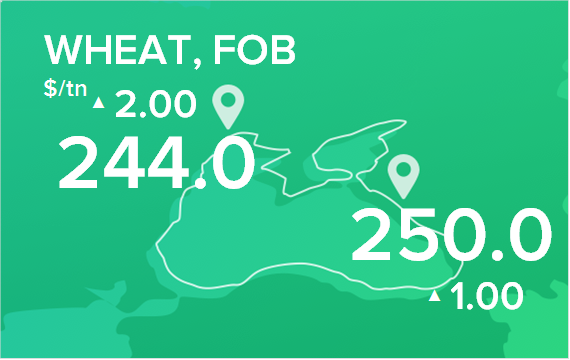 Пшеница. Цены FOB. Данные на 11.02.2019