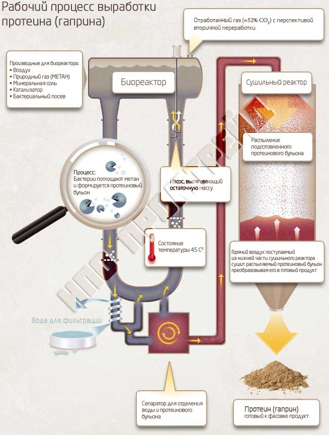 Изготовление белков. Технологическая схема производства гаприна. Гаприн технология производства. Процесс производства протеина. Производство кормовых белков.