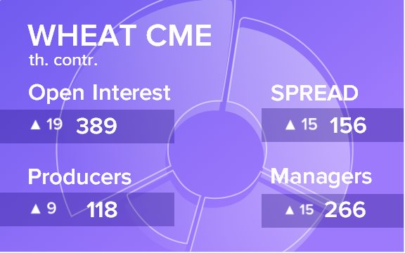 Отчет по открытому интересу. Пшеница, CME Group на 12.10.2019