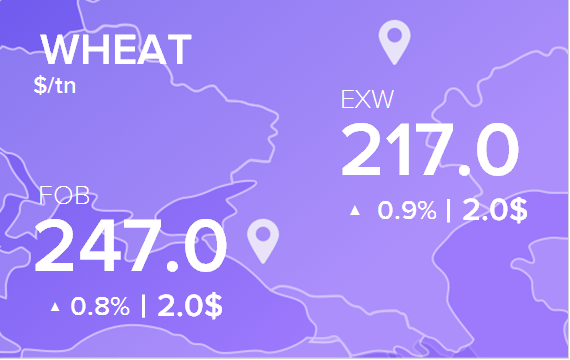Цены FOB и EXW на 4 декабря 2020. Россия, Украина