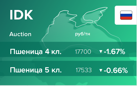 Итоги торгов на ЭТП IDK.ru 11 января 2021