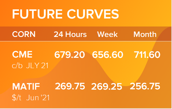 Кукуруза. Фьючерсные кривые на 7 июня 2021
