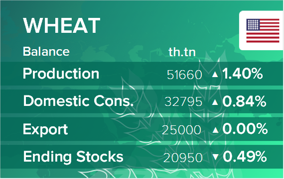 USDA. Баланс по пшенице на 11 июня 2021. США