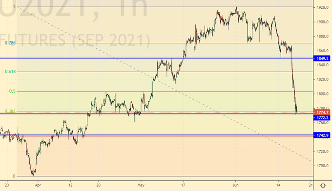 Значок досааф за отличную учебу. Мюррэй хоув москва 1909 года. Депутатская 17 кострома. 1900 сегодня. 1900 сегодня.