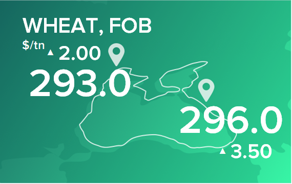 Пшеница. Цены в портах на 30 августа 2021