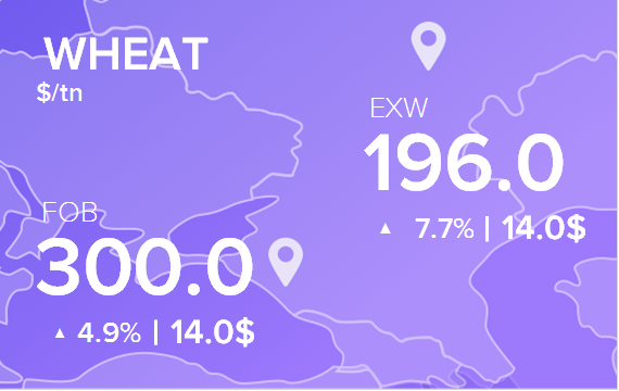 Цены FOB и EXW на 6 сентября 2021. Россия, Украина