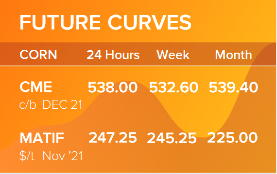 Кукуруза. Фьючерсные кривые на 25 октября 2021