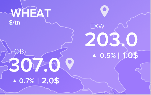Цены FOB и EXW на 5 октября 2021. Россия, Украина