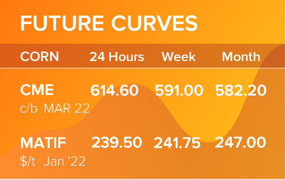 Кукуруза. Фьючерсные кривые на 27 декабря 2021