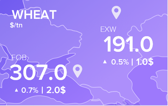 Цены FOB и EXW на 17 февраля 2022. Россия, Украина