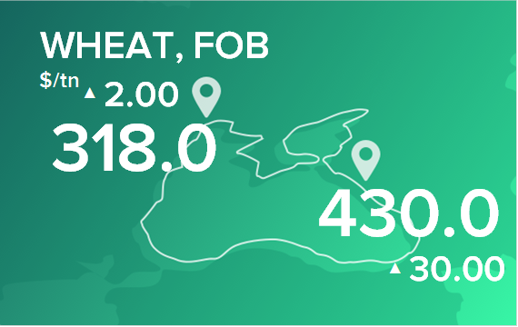 Пшеница. Цены в портах на 14 марта 2022