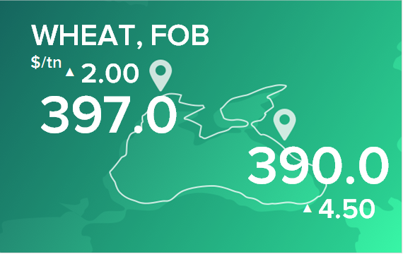 Пшеница. Цены в портах на 25 апреля 2022
