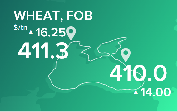 Пшеница. Цены в портах на 23 мая 2022