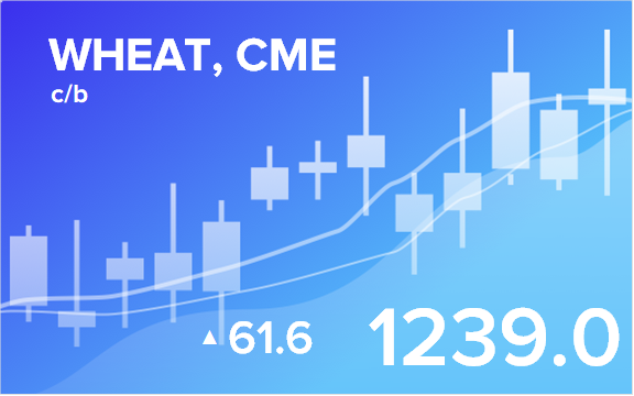 Price forecast from 16 to 20 of May 2022