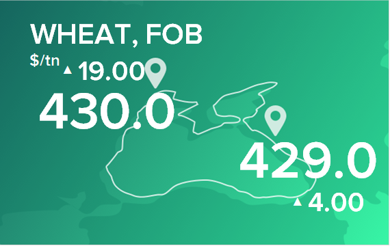 Пшеница. Цены в портах на 20 июня 2022