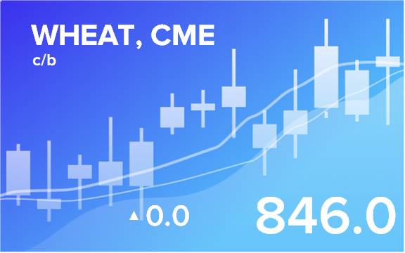 Price forecast from 4 to 8 of July 2022