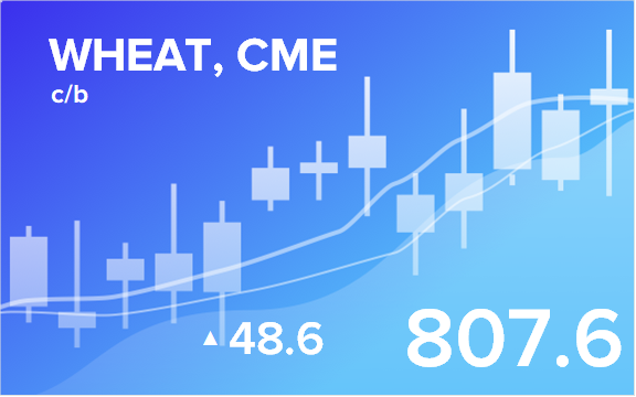 Прогноз биржевых цен с 1 по 5 августа 2022