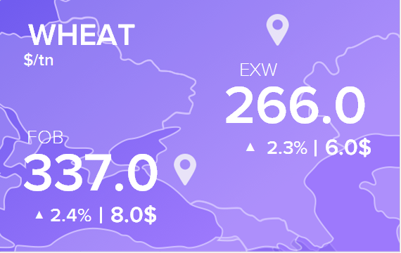 Цены FOB и EXW на 11 августа 2022. Россия, Украина